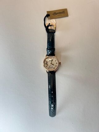 Ingersoll Walt Disney horloge  limited Edition   Ingersoll